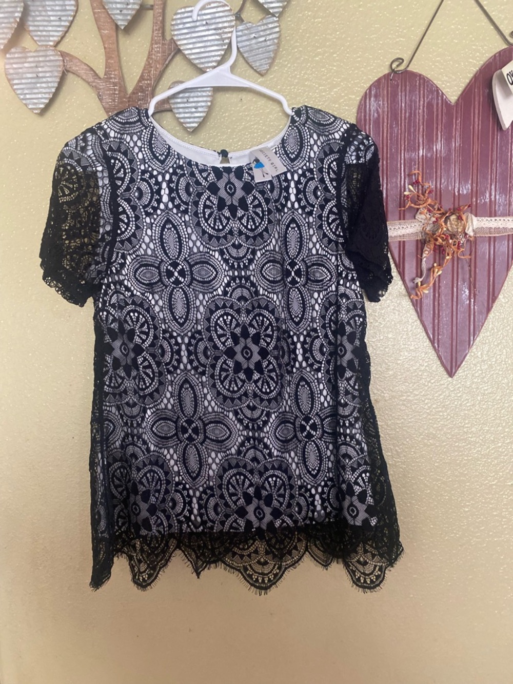 Society Black Lace Overlay Short Sleeve Blouse with Light Gray Lining